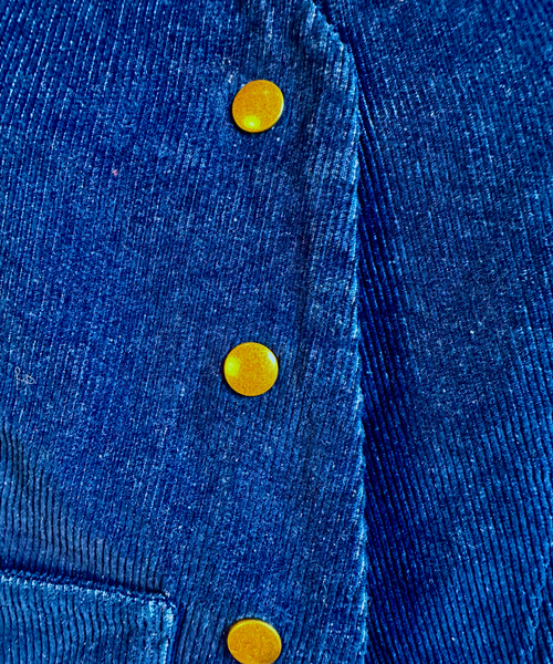 Blue Corduroy Vest